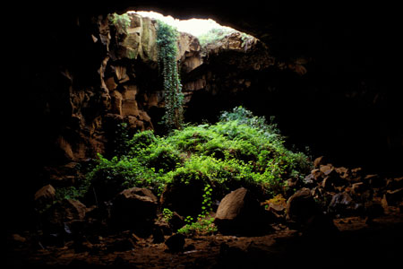 Lava Tube Cave