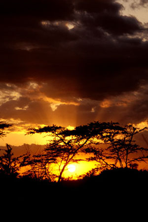 Sunset in Africa